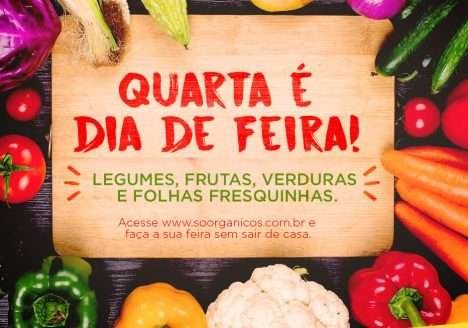 Um pioneiro no comércio de alimentos orgânicos no ES