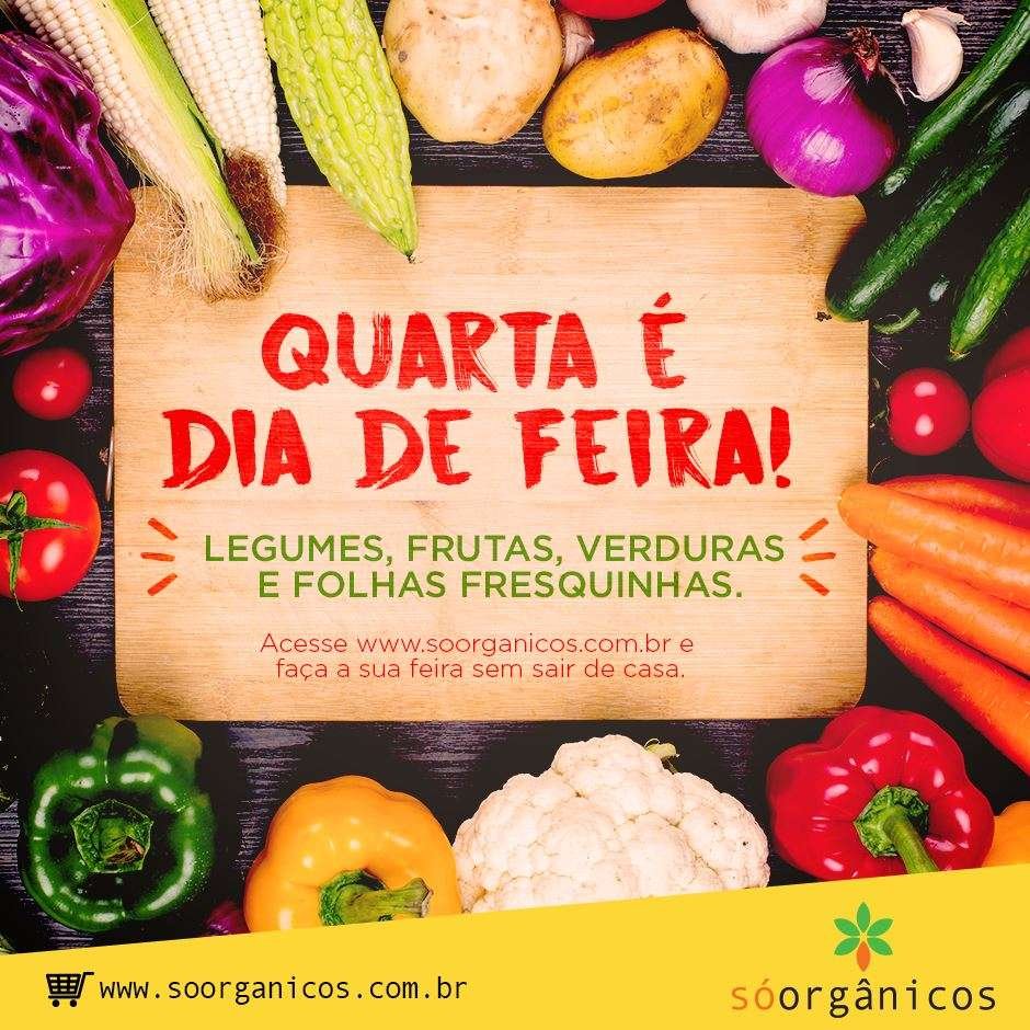 foto: divulgação empresa