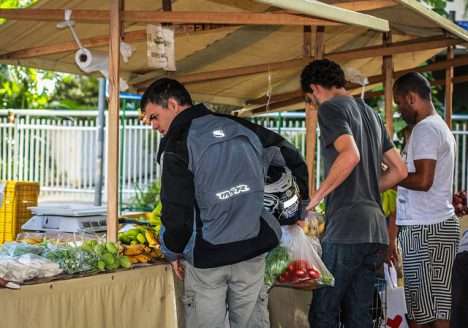 Para cultivar oportunidades