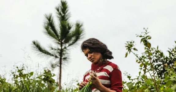 Governo Lula anima setor de orgânicos com promessa de compras para programa