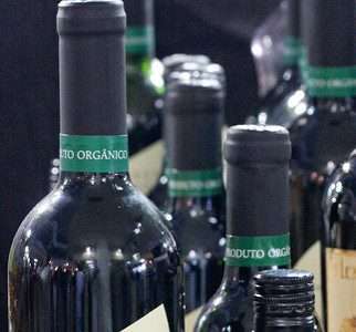 Uva orgânica,  vinhos com gosto melhor
