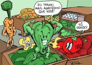 foto: OZ Engenharia