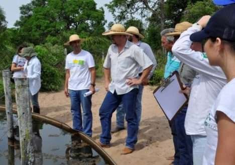 Associação de Produtores Orgânicos moderniza sistema de certificação