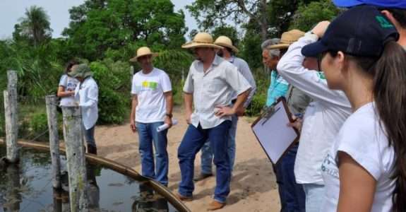 Associação de Produtores Orgânicos moderniza sistema de certificação