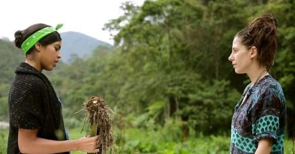 Conheça mais sobre a Agricultura Biodinâmica
