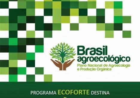 Ecoforte destina R$ 25 milhões para projetos agroecológicos Ecoforte destina R$ 25 milhões para projetos agroecológicos