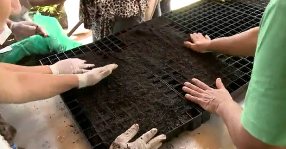 SENAR capacita agricultores para o cultivo de orgânicos