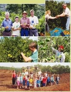 ECOCITRUS