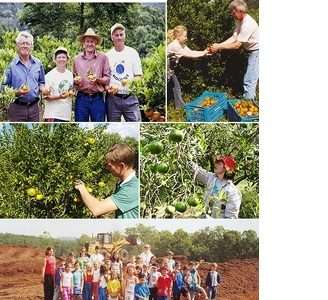 Ecocitrus completa 20 anos de Agricultura Orgânica