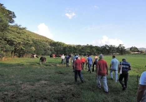 Vencer desinformação é maior desafio para produção de orgânicos