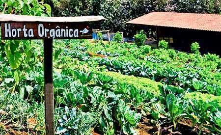 Guarujá recebe curso de produção orgânica para trabalhadores rurais a partir desta segunda-feira(9)
