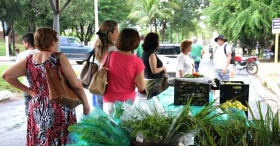 Agricultores orgânicos vendem produtos em feira em Cuiabá (MT)