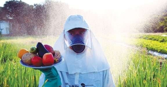 Brasil é campeão mundial no uso de agrotóxicos