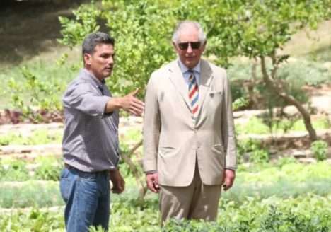 Como o rei Charles III virou símbolo da agricultura orgânica na Inglaterra