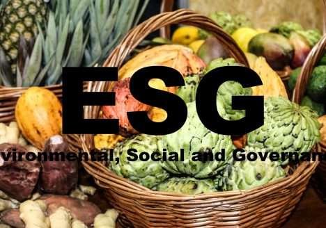 Sustentabilidade na agricultura: entenda a importância do ESG para as empresas