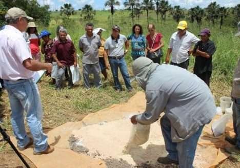 Adubação equilibrada garante plantas mais resistentes no processo de transição agroecológica