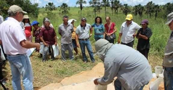 Adubação equilibrada garante plantas mais resistentes no processo de transição agroecológica