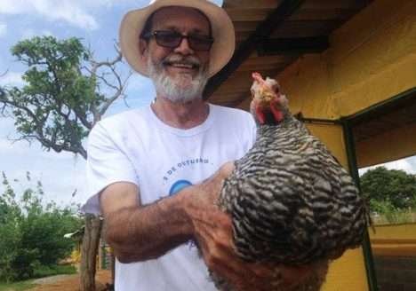Produtor dá dicas sobre manejo de frango orgânico