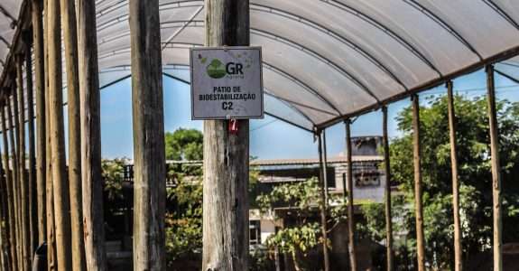 Ministério da Agricultura publica registro de 50 defensivos agrícolas