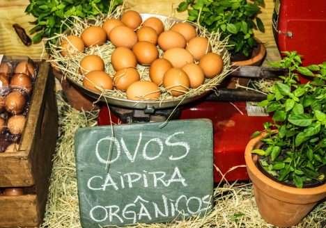 Produção de ovos orgânicos Produção de ovos orgânicos