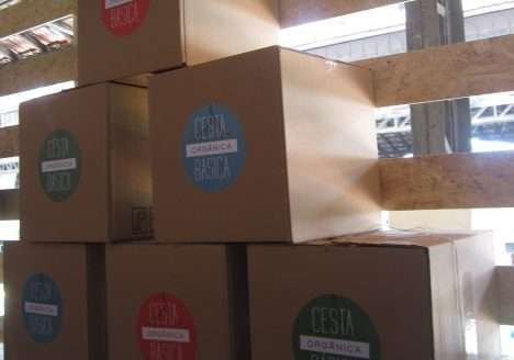 “Quem compra orgânico online?”: pesquisa busca as respostas