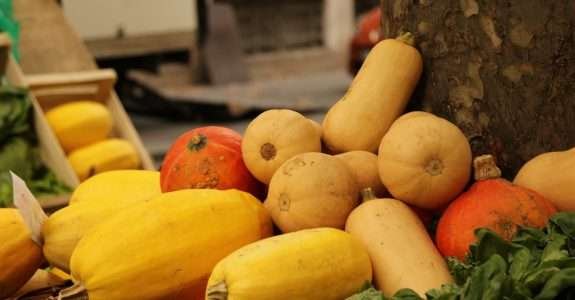 Green Claims: A luta contra o greenwashing deve ser baseada em metodologias que promovam a transição para sistemas alimentares mais sustentáveis