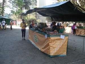 Na feira, entidades promovem educação ambiental, uso correto dos alimentos orgânicos, nutrição e atividade física