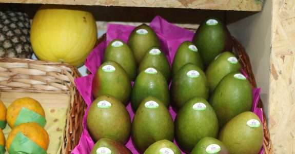 Os desafios da manga orgânica