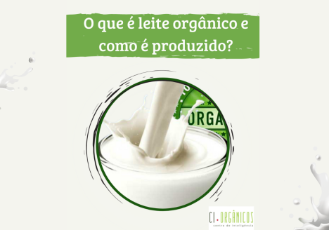 O que é leite orgânico e como é produzido?