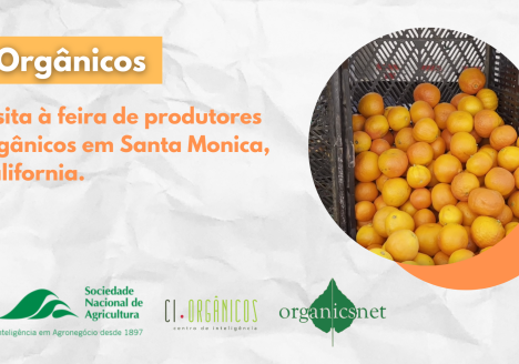 CI Orgânicos visita feira de produtores orgânicos em Santa Mônica/Califórnia