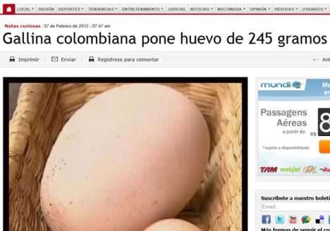 “Galinha dos Ovos de Ouro”