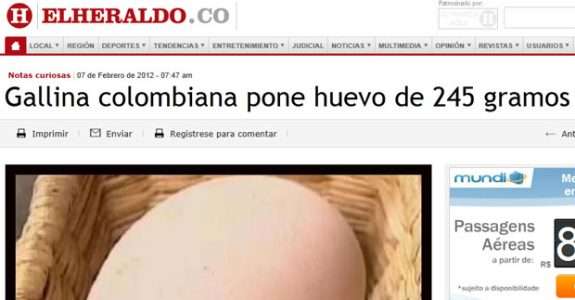 “Galinha dos Ovos de Ouro”