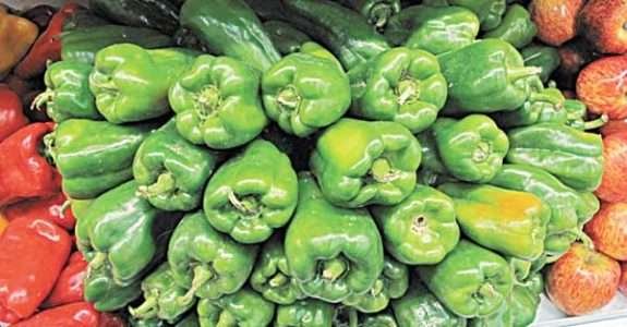 Ceará: Copa Orgânica & Sustentável