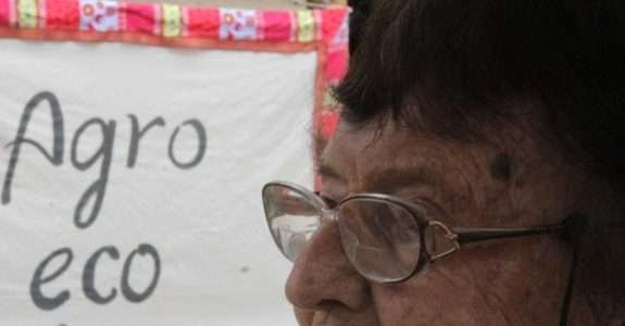 Agroecologia e manejo do solo