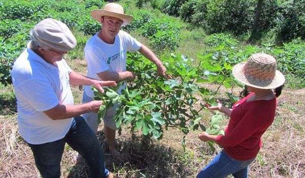 Ricardo Fritsch com cooperados em visita a produção de figo_Divulgação-Coopernatural