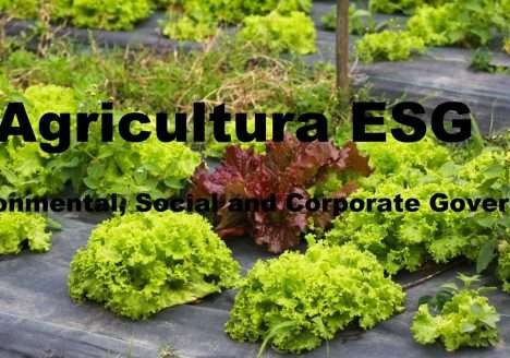 “Agricultura ESG traz benefícios para todos e respeita limites do planeta”, diz Leontino Balbo Jr, da Native “Agricultura ESG traz benefícios para todos e respeita limites do planeta”, diz Leontino Balbo Jr, da Native