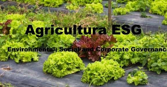 “Agricultura ESG traz benefícios para todos e respeita limites do planeta”, diz Leontino Balbo Jr, da Native