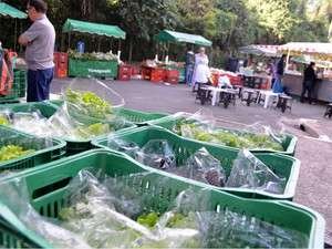 Venda de produtos orgânicos. Foto: Mayara Yamaguti - G1