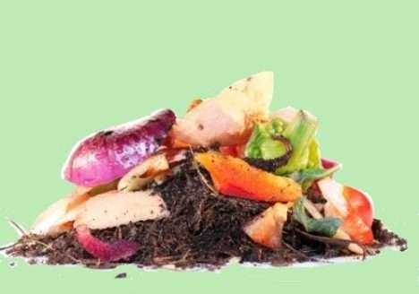 Agrônomo ensina a preparar adubo orgânico com sobras de alimentos