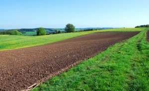 agricultura-SXC