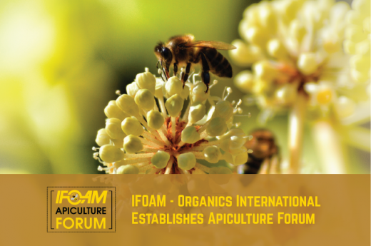 apiculture forum IFOAM