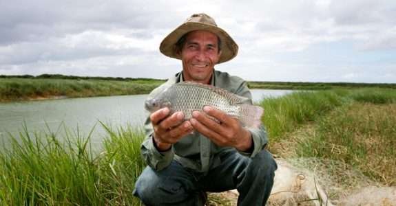 Mapa lança novas vagas de consultoria em aquicultura