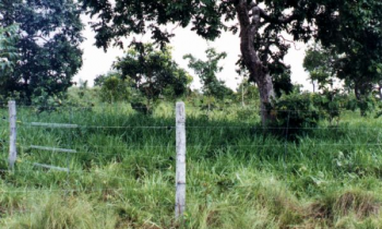 foto: site Fazenda Ecológica