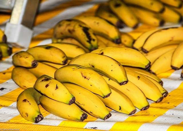 bananas organicas