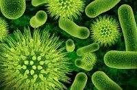 Mercado dos biopesticidas devem crescer US$ 4,5 bilhões até 2023 Mercado dos biopesticidas devem crescer US$ 4,5 bilhões até 2023