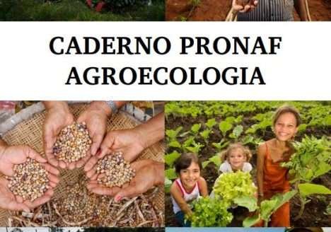 Pronaf conscientiza sobre sistemas de produção agroecológica e de orgânicos Pronaf conscientiza sobre sistemas de produção agroecológica e de orgânicos