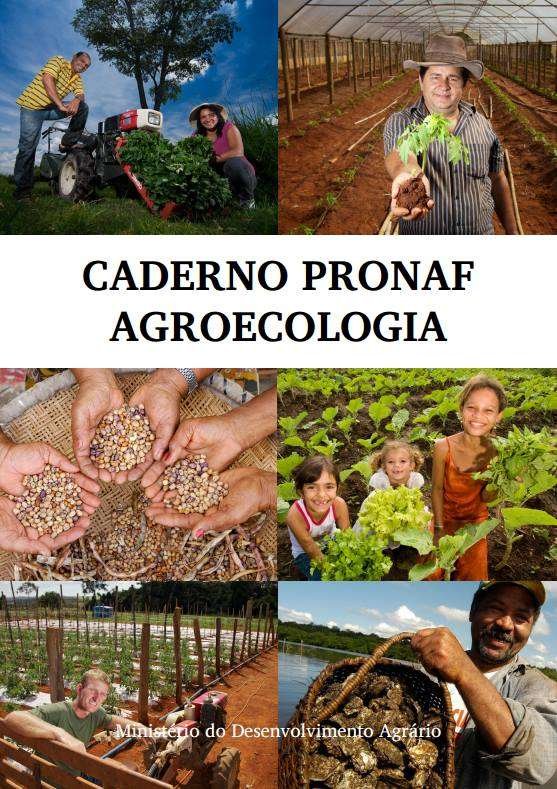 caderno pronaf