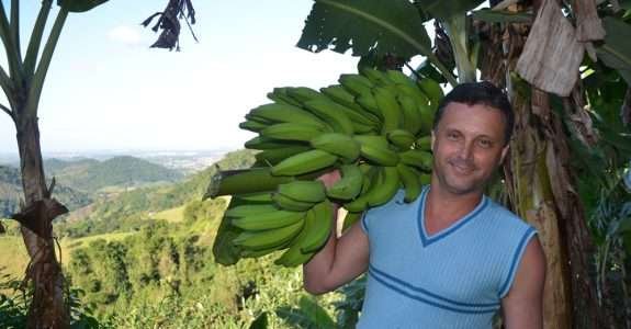 Cariacica, ES: maior área de banana orgânica da América Latina