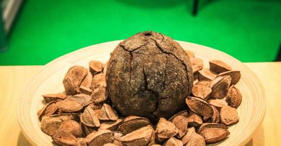 Acordo com Chile pode incrementar o comércio dos produtos orgânicos