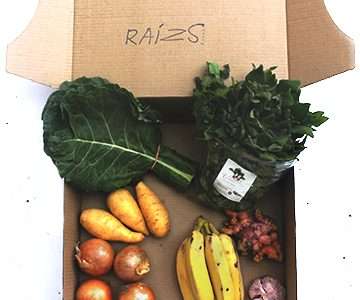 Negócio social na venda de orgânicos